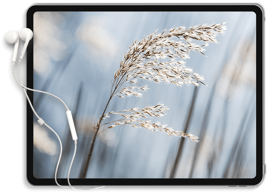 https://pracownia-sensu.pl/wp-content/uploads/2022/01/Tablet.png