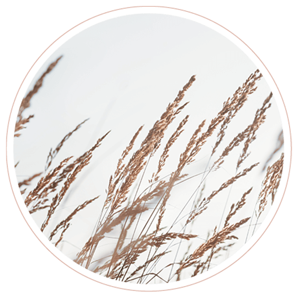 https://pracownia-sensu.pl/wp-content/uploads/2022/02/image_02_contact.png